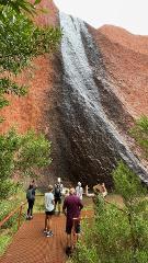 Guided tour