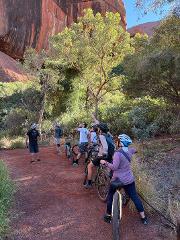 Guided tour