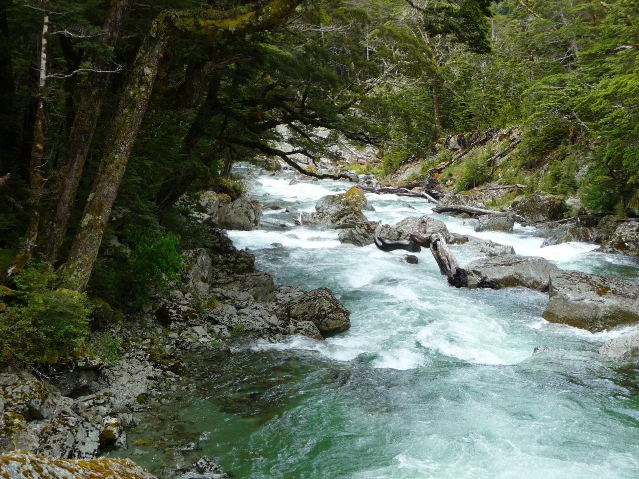 Routeburn Guided Walk Full Day