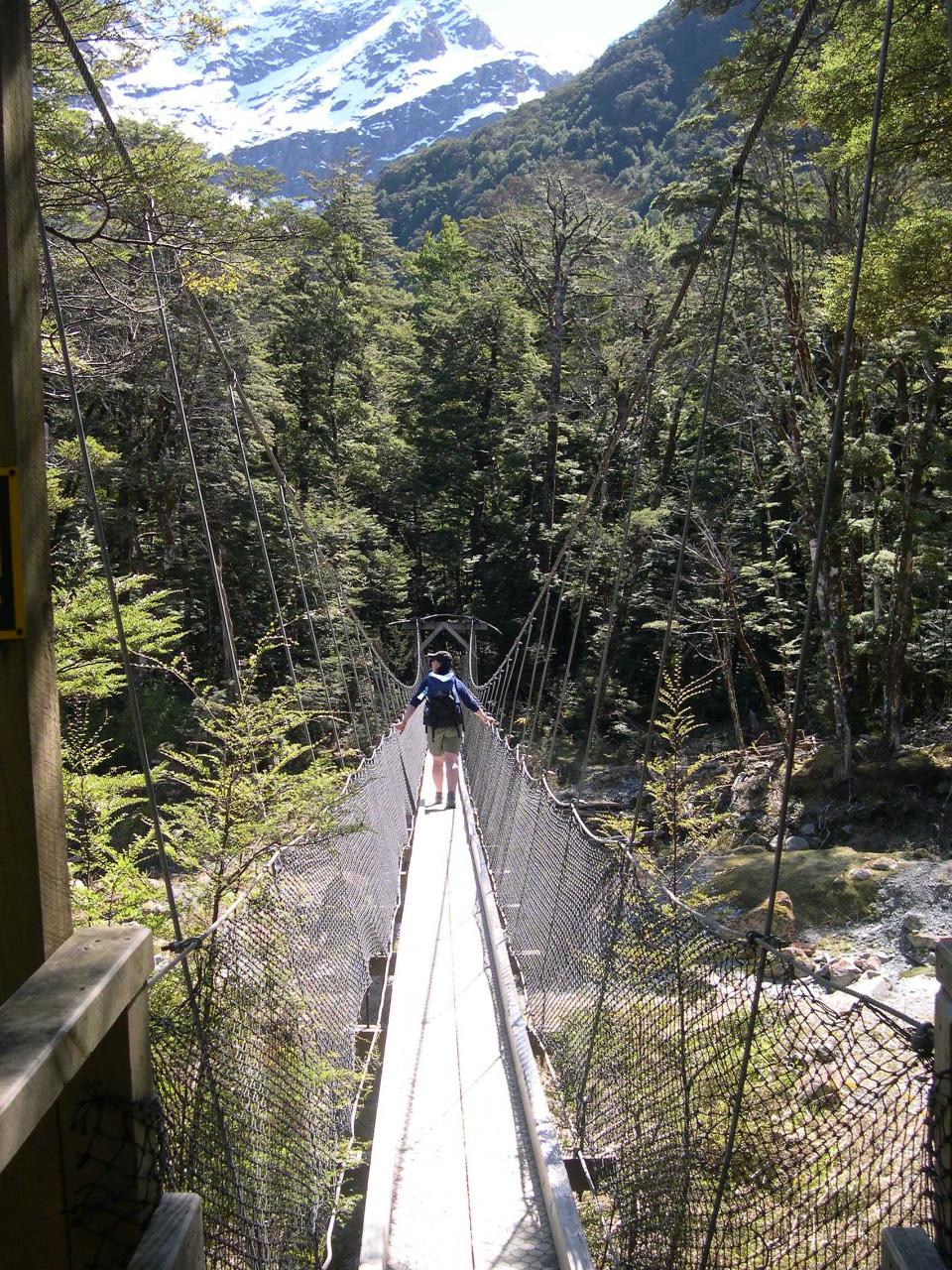 Routeburn Guided Walk Half Day