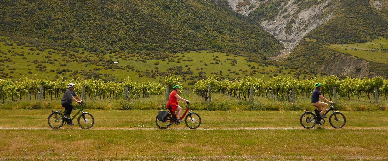 EBike Guided Winery Tour Nomad Safaris Reservations