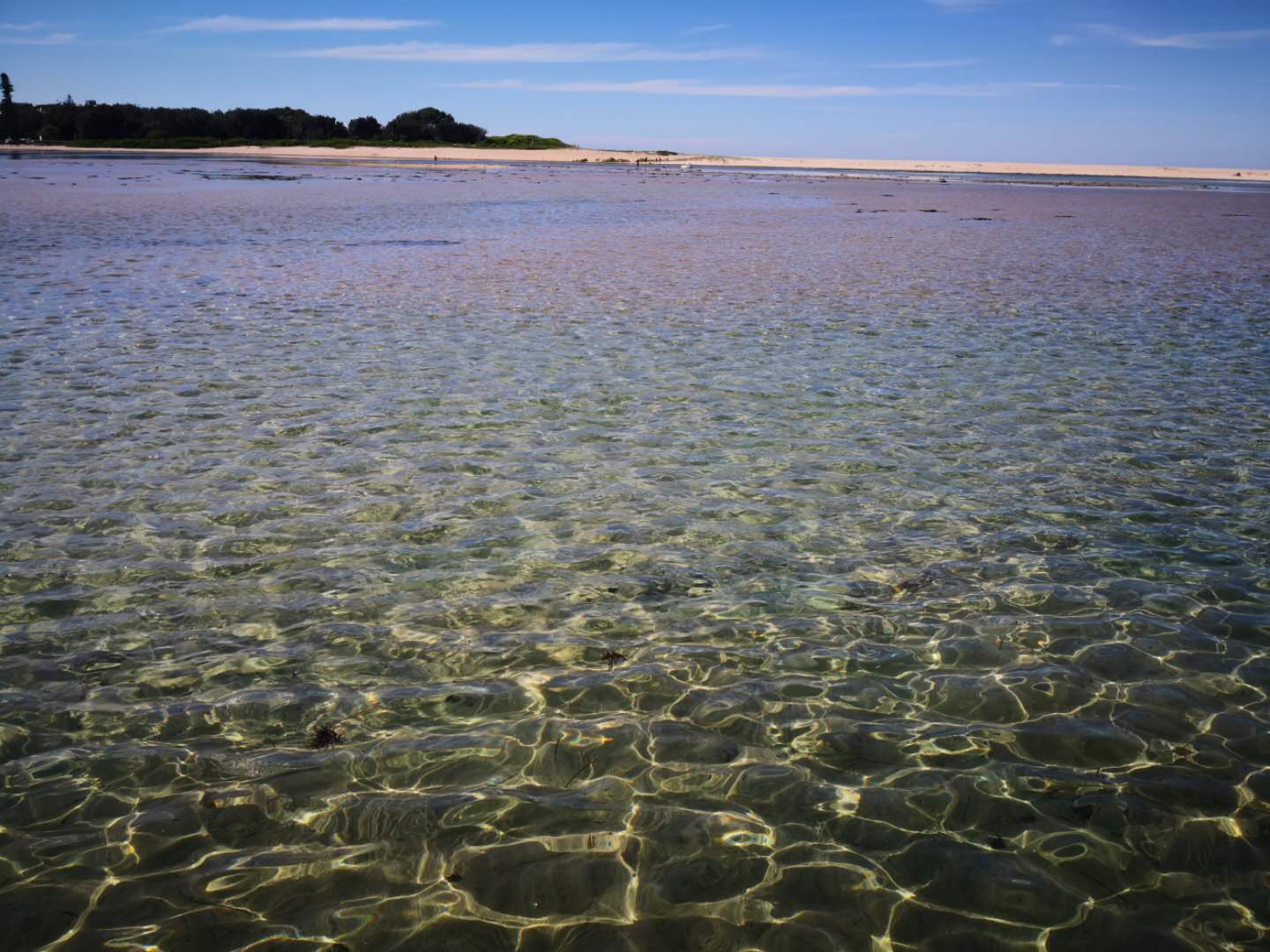 The Hunter Valley 2-day Food and Wine Tour