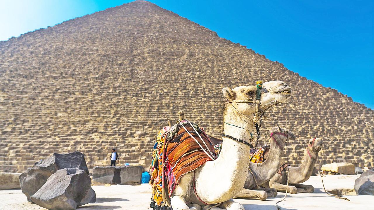 Classic Cairo: Pyramids, Sphinx & Egyptian Museum from Port Said Hotels