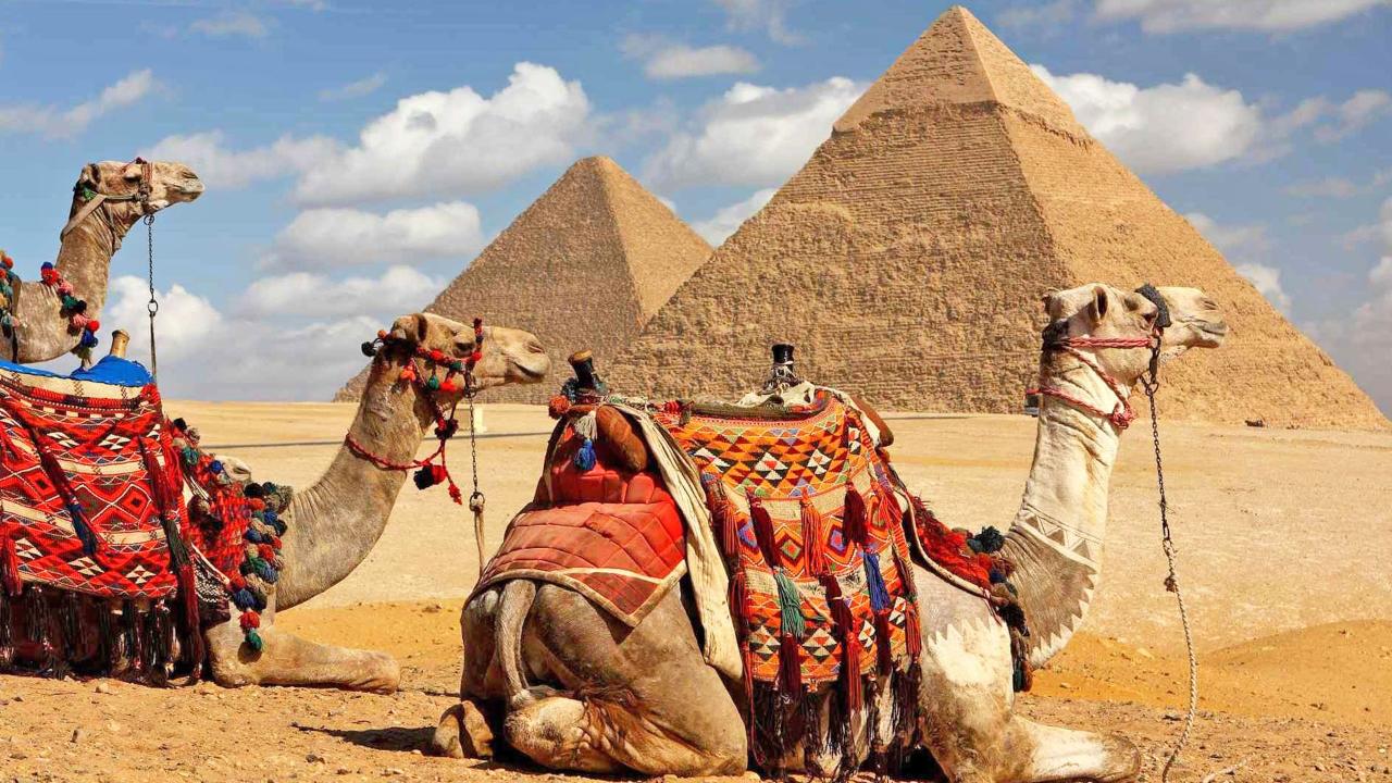 Pyramids & Citadel from Marassi