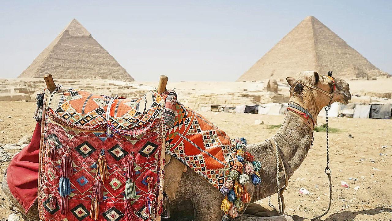 Medieval Cairo from Port Said Port