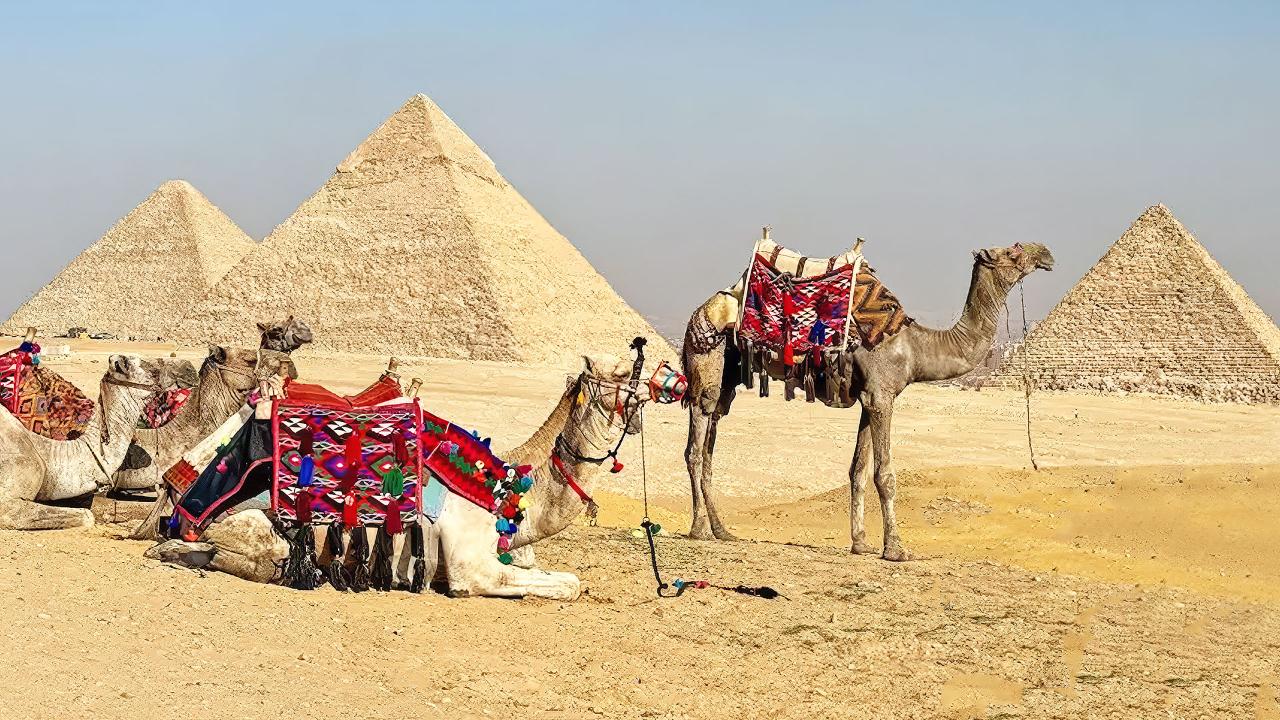 Pyramids & Citadel from Port Said
