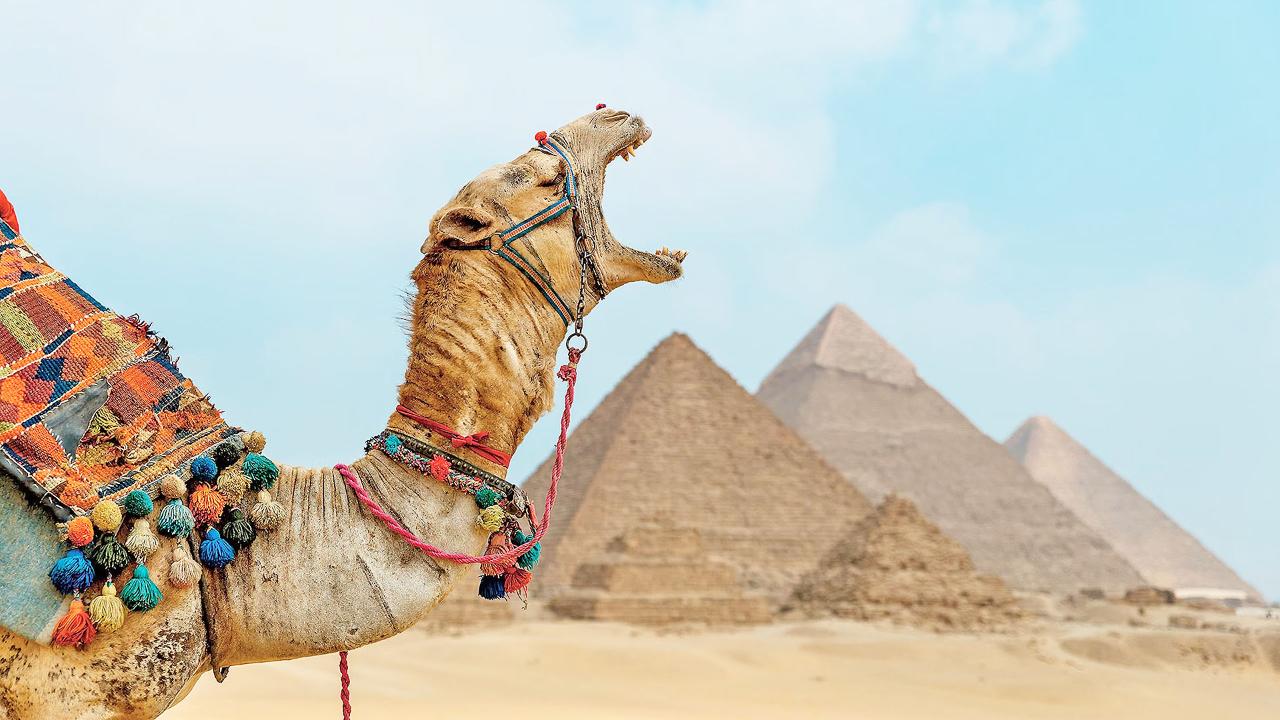 Medieval Cairo: Pyramids, Ibn Tulun Mosque & Gayer Anderson Museum from Port Said Hotels