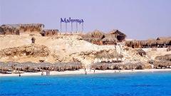 Mahmya Island from Soma Bay
