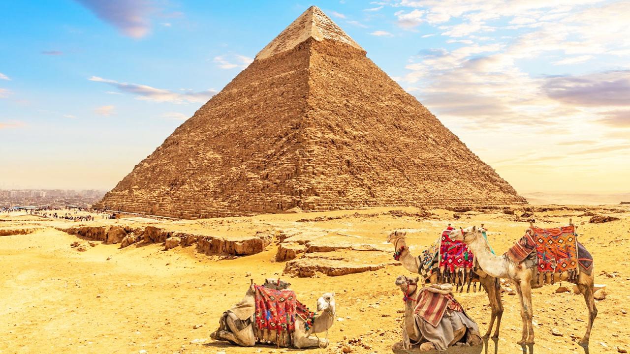 Pyramids & Citadel from Port Said with Vito