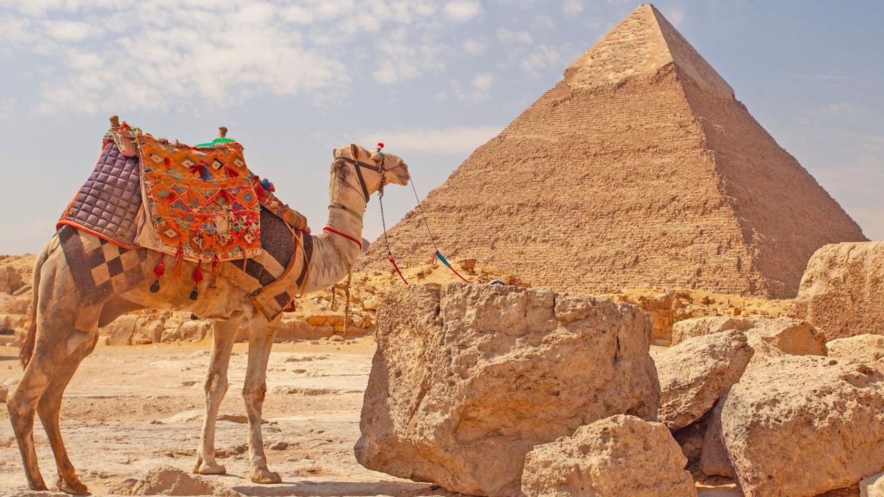 Classic Cairo from Suez Port with VITO
