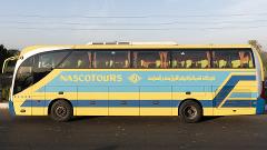 Private Transfer from Soma Bay to Hurghada Airport by Bus