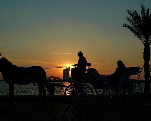 Horse-Drawn Carriage Ride from Aswan Hotels