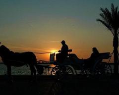 Horse-Drawn Carriage Ride from Aswan Hotels