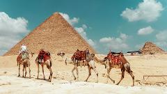 Medieval Cairo from Marassi