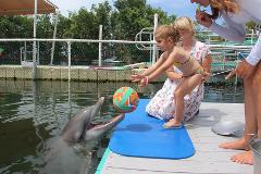 Dolphin Dockside