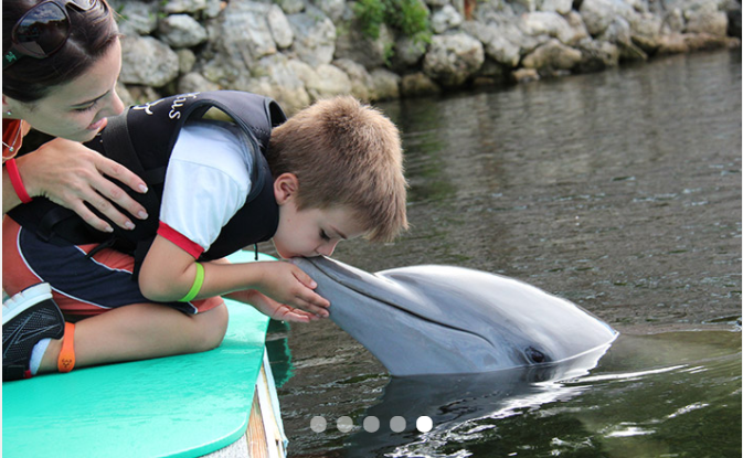 Special Needs/OMA Registration: Kiss By A Dolphin