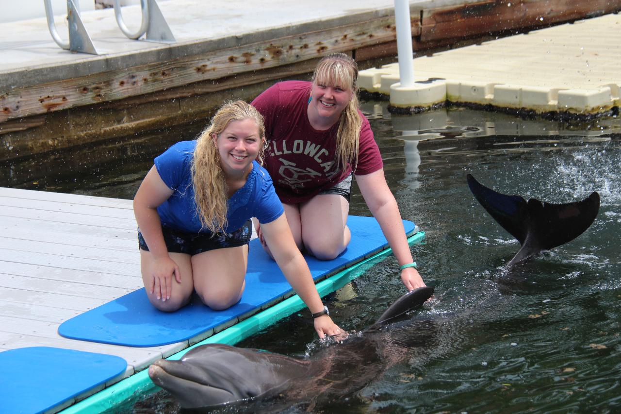 Special Needs/OMA Registration: Dolphin Dockside