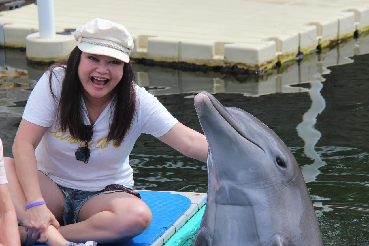 Meet A Dolphin