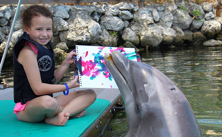 Special Needs/OMA Registration: Paint with a Dolphin