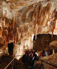 CDC Tours with Admission to the Chifley and Lucas Caves