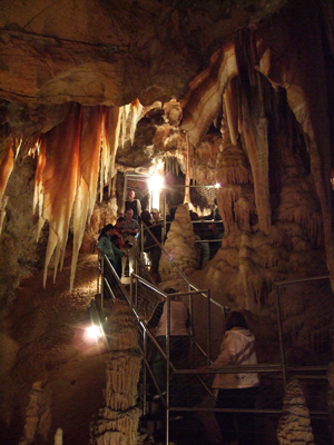 CDC Tours with Admission to the Orient Cave