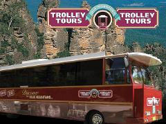 1 Day Trolley Discovery Package