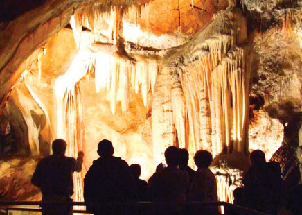 CDC Tours with Admission to Lucas Cave