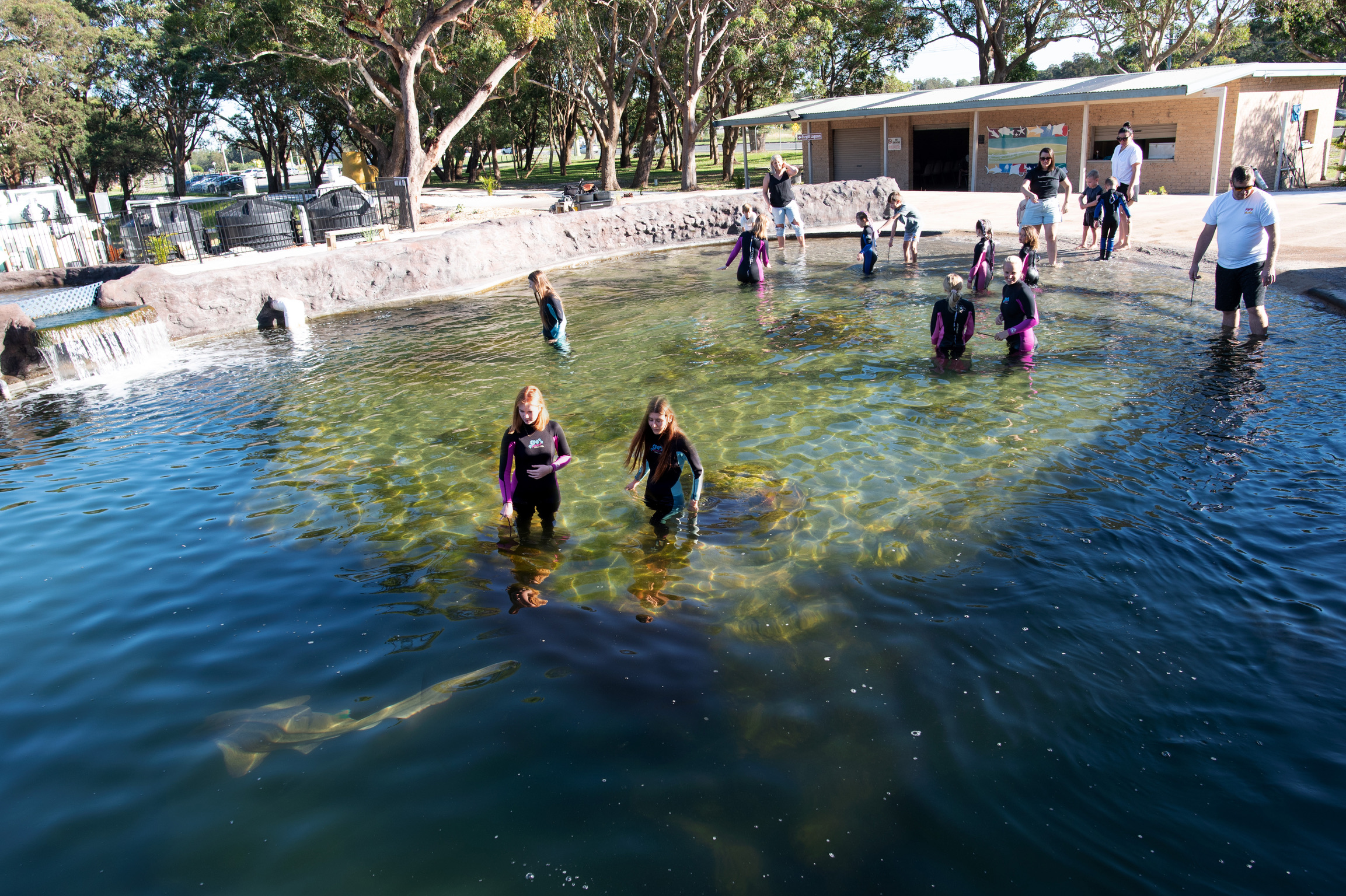 IRUKANDJI ENTRY PASS ~Includes wading in the lagoon shallows + shark food