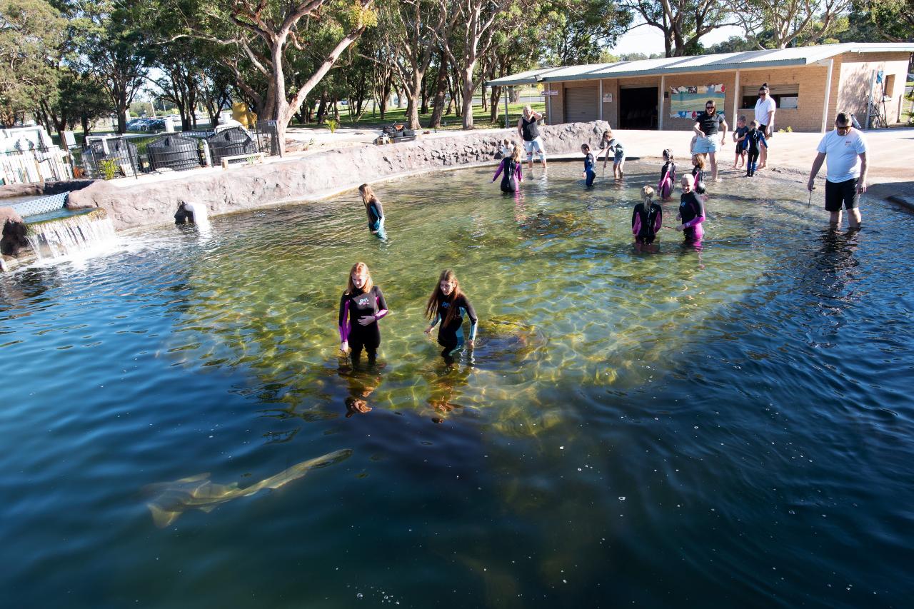 Entry Ticket for Irukandji Shark & Ray Encounters located in Anna Bay, Port Stephens