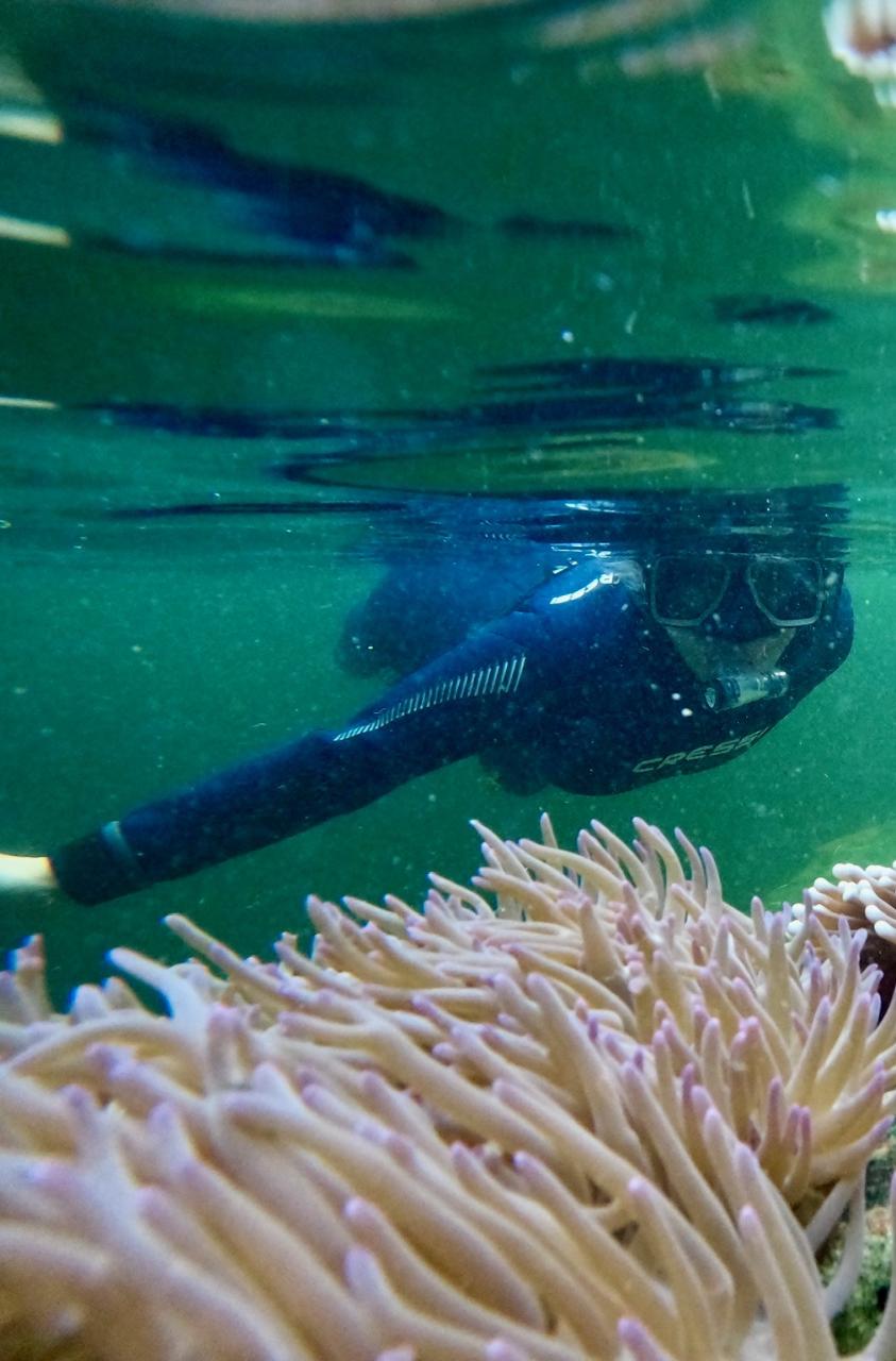 Irukandji Shark & Ray Encounters Anna Bay Port Stephens Gift Card