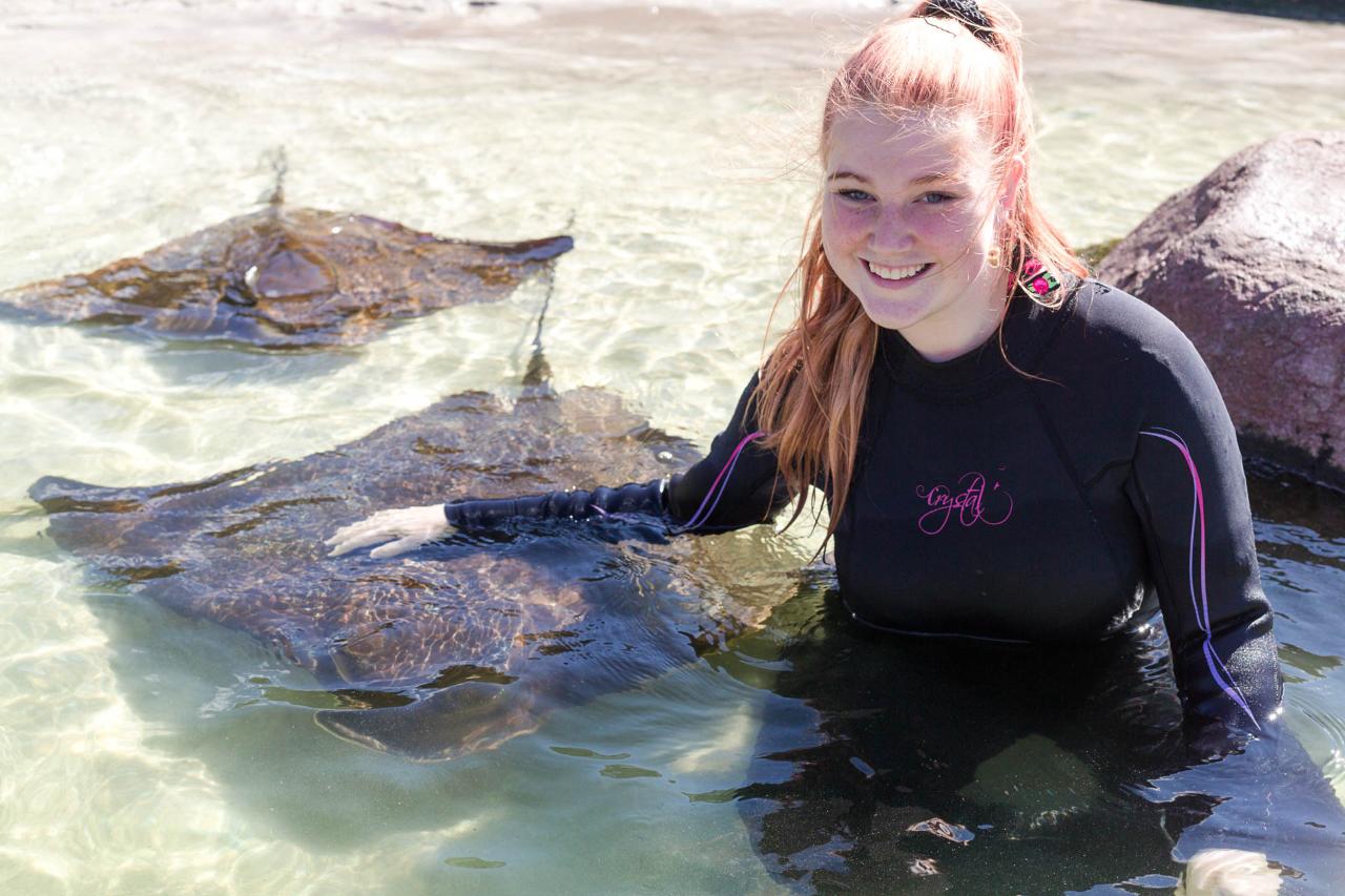 Mini Marine Biologist (12-15 yr olds)