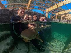 ZEBRA SHARK ENCOUNTER ~ Inbound Nett Rates 2026-27 ~ Zebra Shark Encounter packaged with Entry Pass  (all ages)