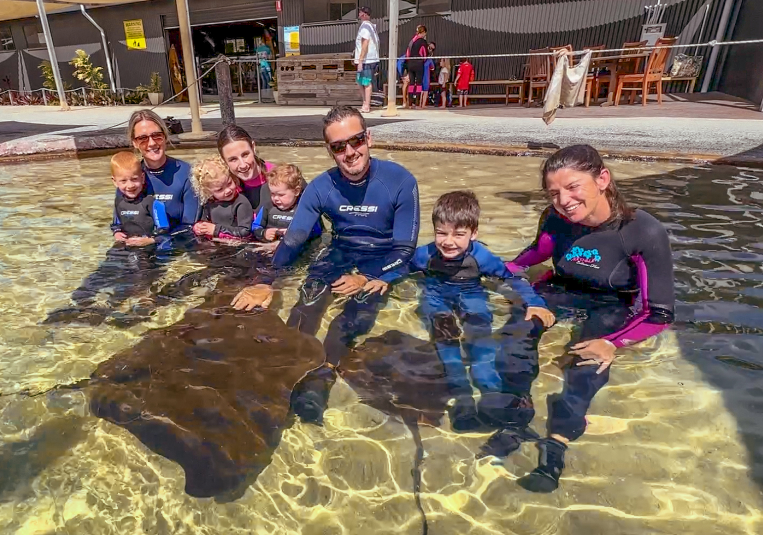 The Ultimate Aussie Animal Package - B2B Booking - Visit Oakvale Wildlife Park & Irukandji Shark & Ray Encounters with ONE PASS