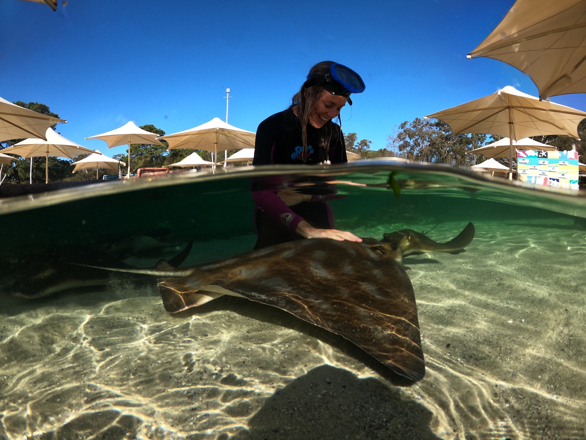 The Ultimate Aussie Animal Package - B2B Booking - Visit Oakvale Wildlife Park & Irukandji Shark & Ray Encounters with ONE PASS