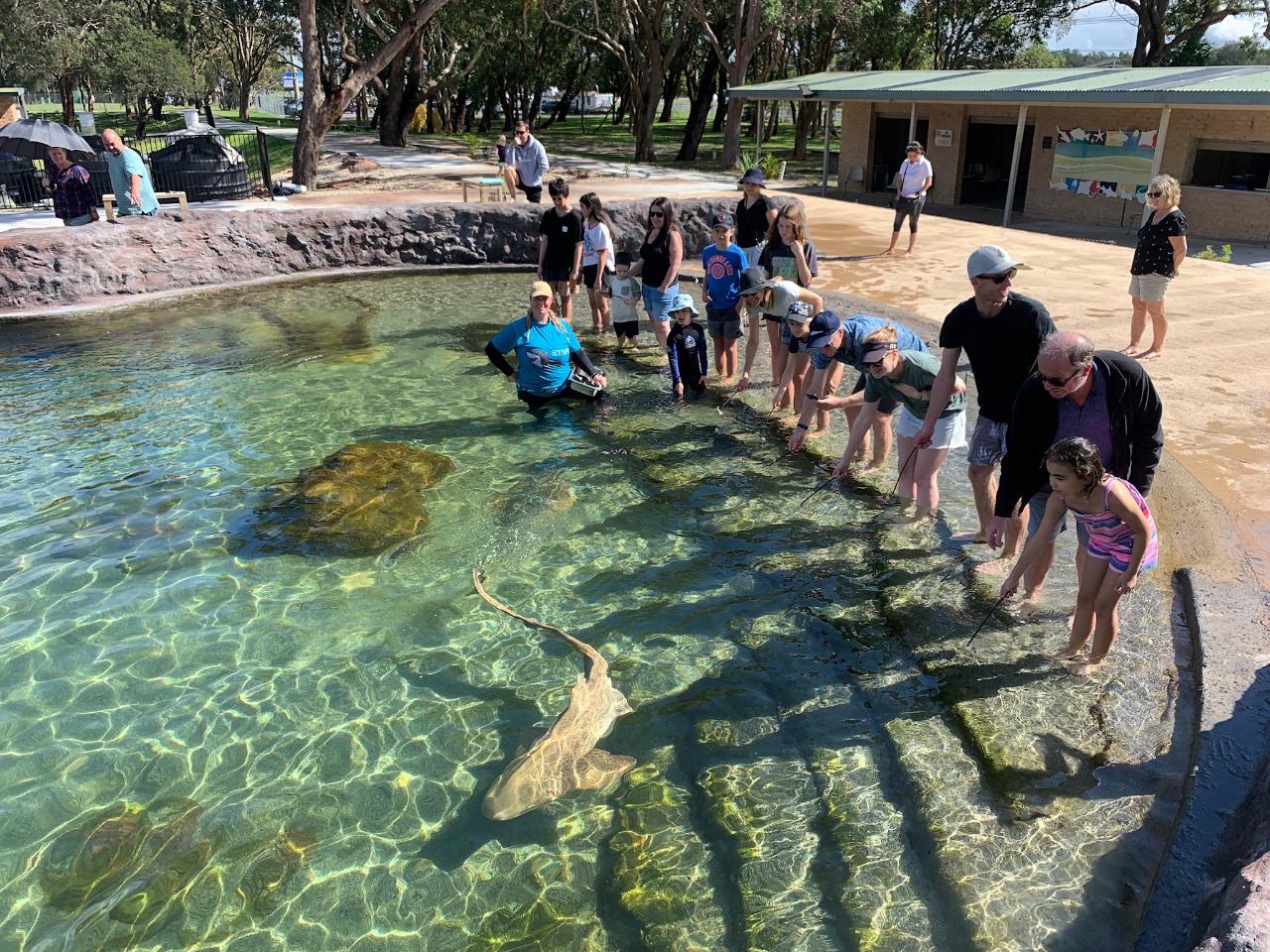 INBOUND ENTRY PASS ~ 2024-2025 ITO Nett Rates ~ Pass includes lagoon shallows, shark food with Optional Sock & Wetsuit upgrades.