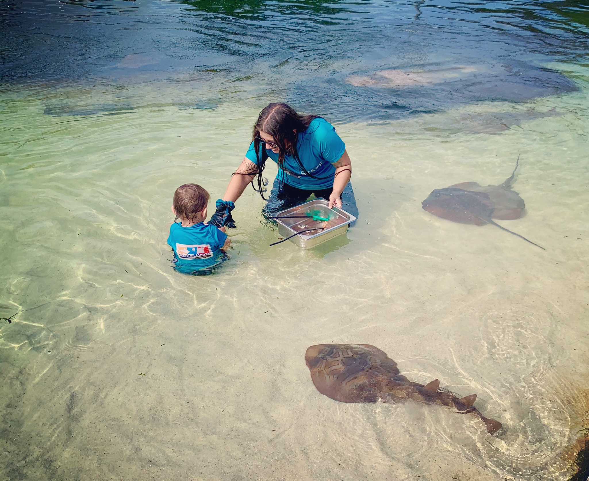 The Ultimate Aussie Animal Package - B2B Booking - Visit Oakvale Wildlife Park & Irukandji Shark & Ray Encounters with ONE PASS