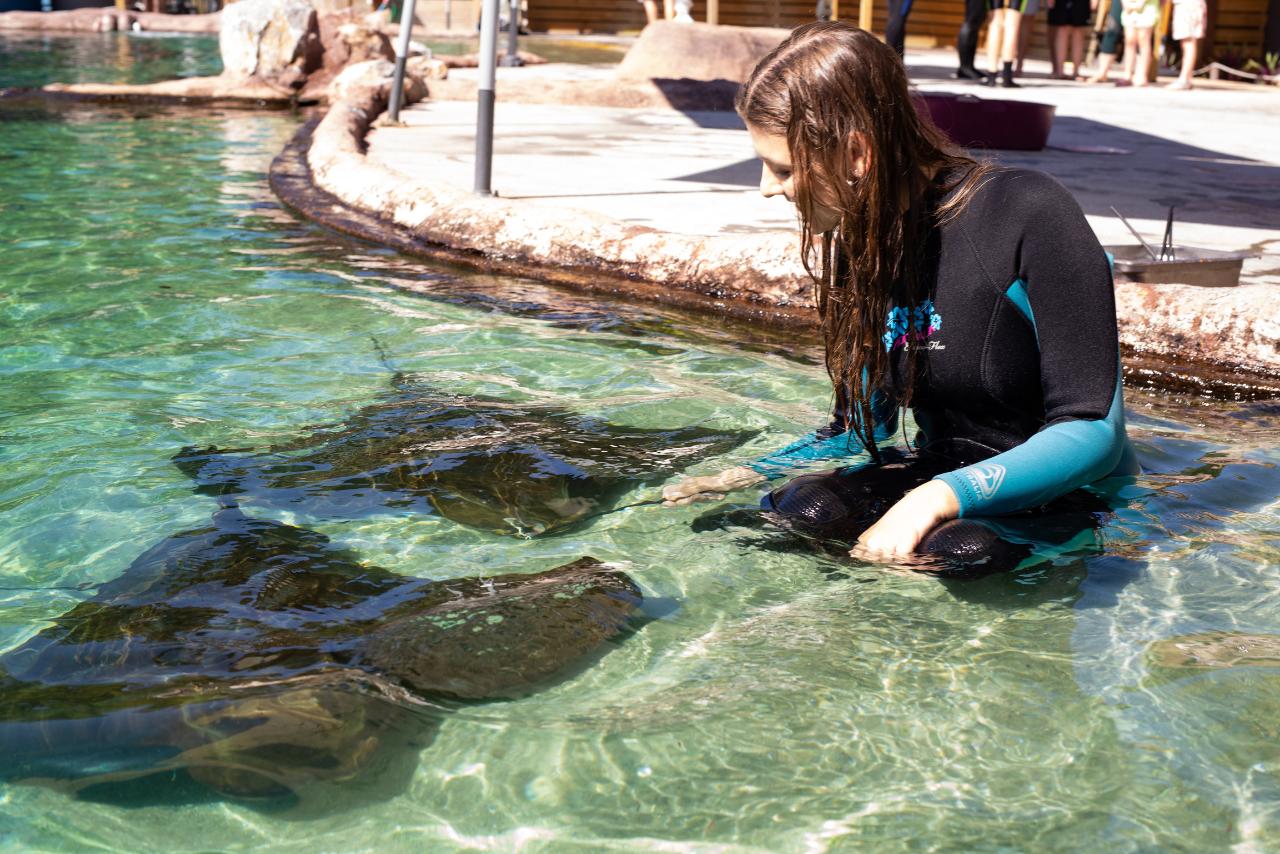Buy Annual Pass for Shark Encounters Port Stephens