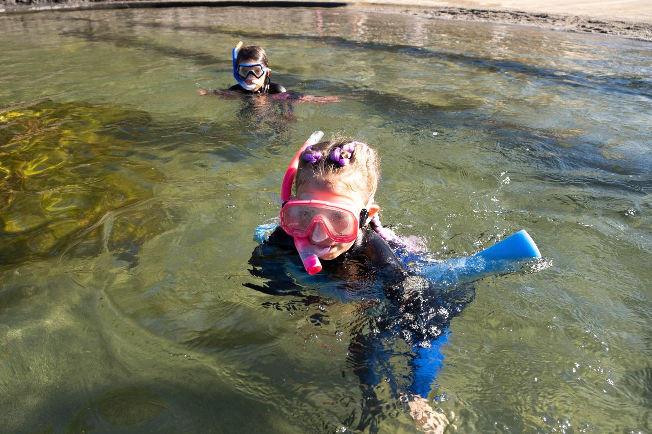 Zebra Shark Snorkel at Irukandji Shark & Ray Encounters in Anna Bay Port Stephens