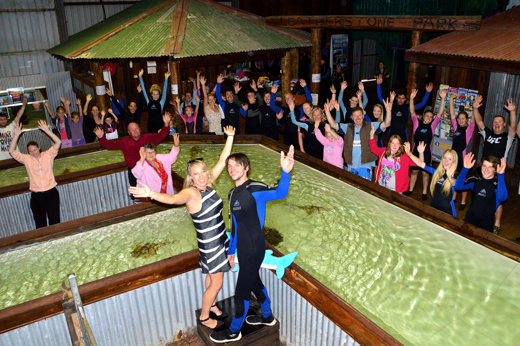 Annual Pass