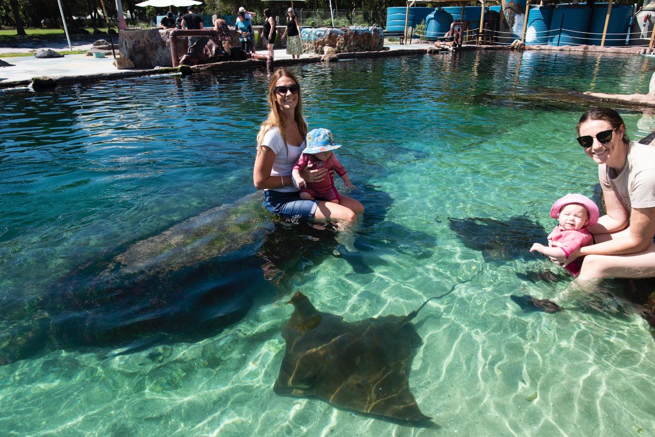 Entry Ticket for Irukandji Shark & Ray Encounters located in Anna Bay, Port Stephens