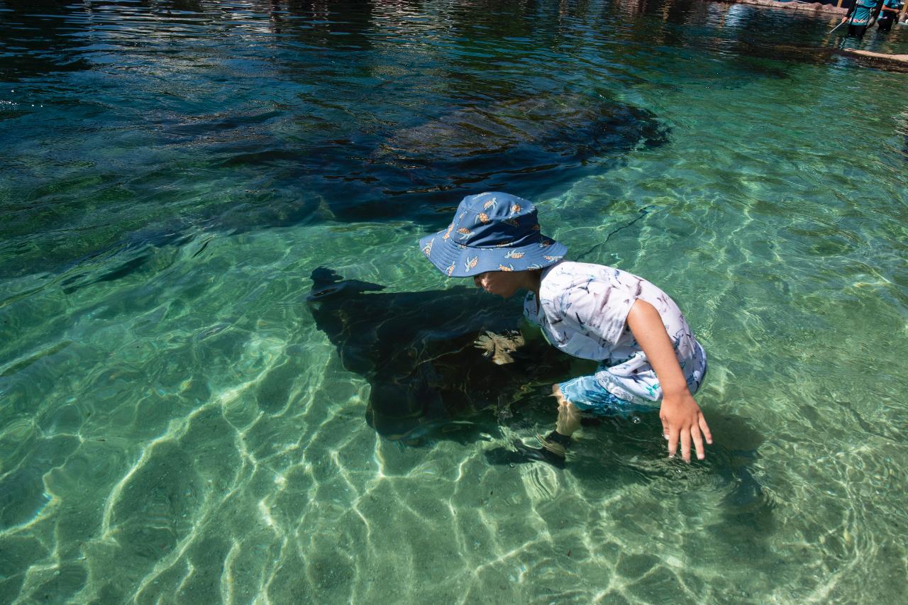 Entry Ticket for Irukandji Shark & Ray Encounters located in Anna Bay, Port Stephens
