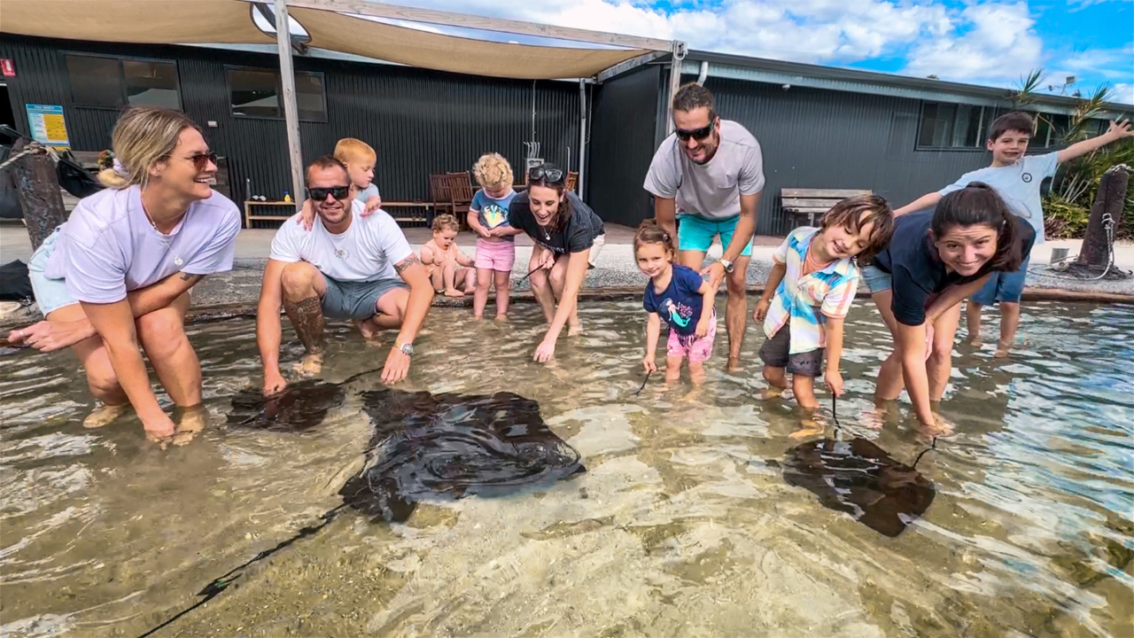 GIFT CARD: IRUKANDJI ENTRY PASS ~ Includes stepping in the lagoon shallows + shark food