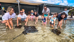 GIFT CARD: IRUKANDJI ENTRY PASS ~ Includes stepping in the lagoon shallows + shark food