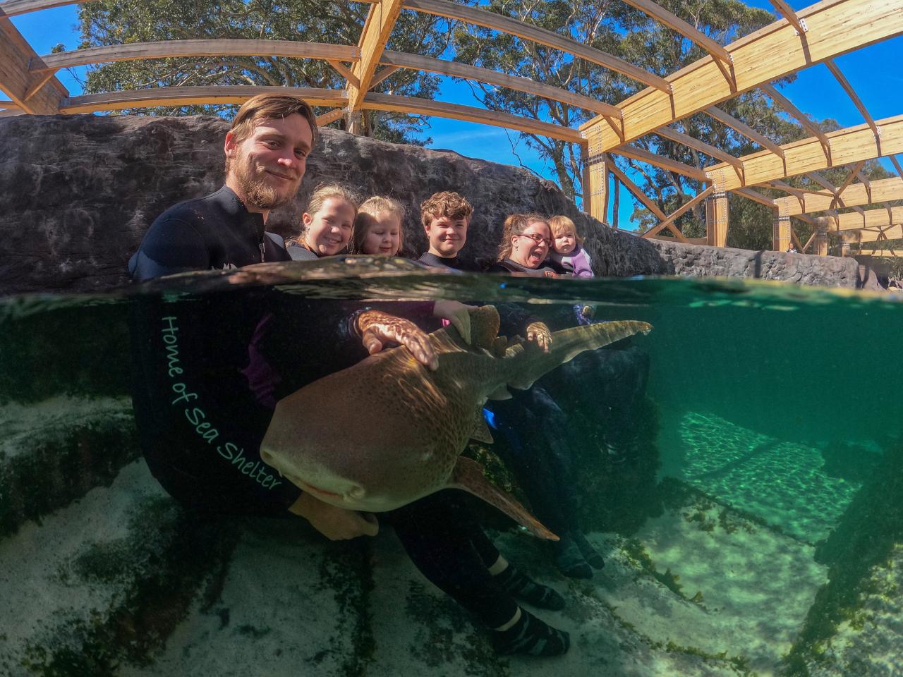 Zebra Shark Encounter $60 packaged with Entry Pass (all ages)