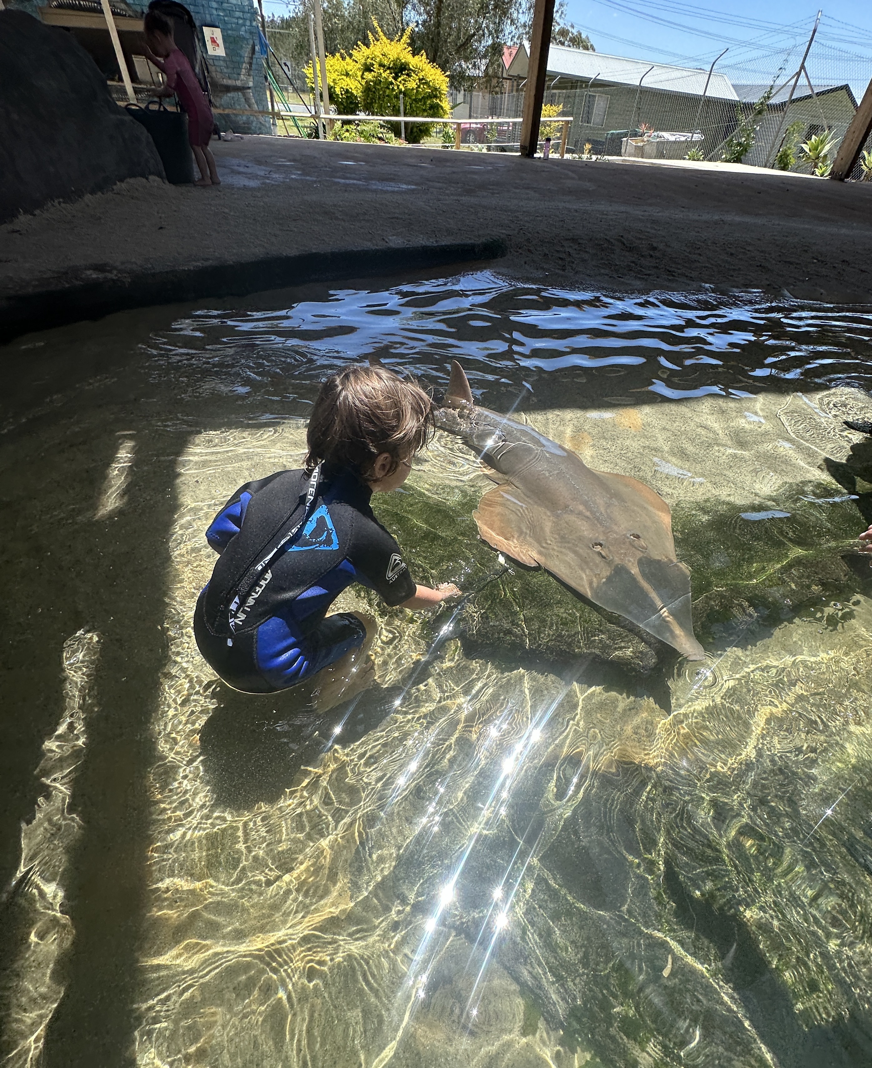 IRUKANDJI ENTRY PASS ~Includes stepping in the lagoon shallows, shark food + optional wetsuit