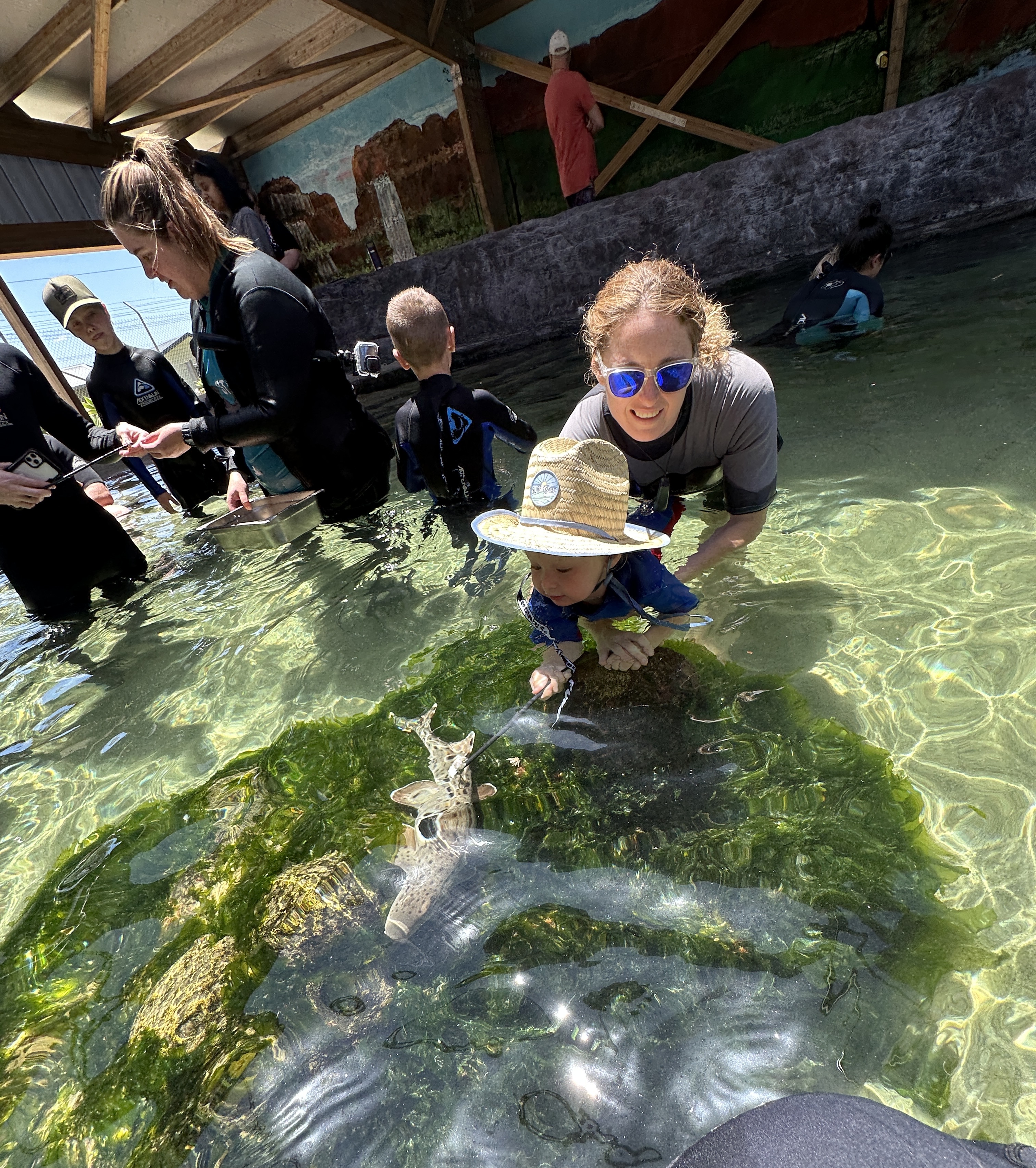 IRUKANDJI ENTRY PASS ~Includes stepping in the lagoon shallows, shark food + optional wetsuit