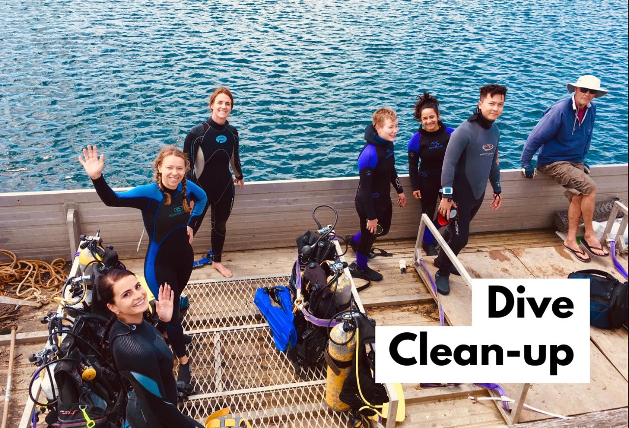 DIVE CLEAN the Marina ~ Event Registration 