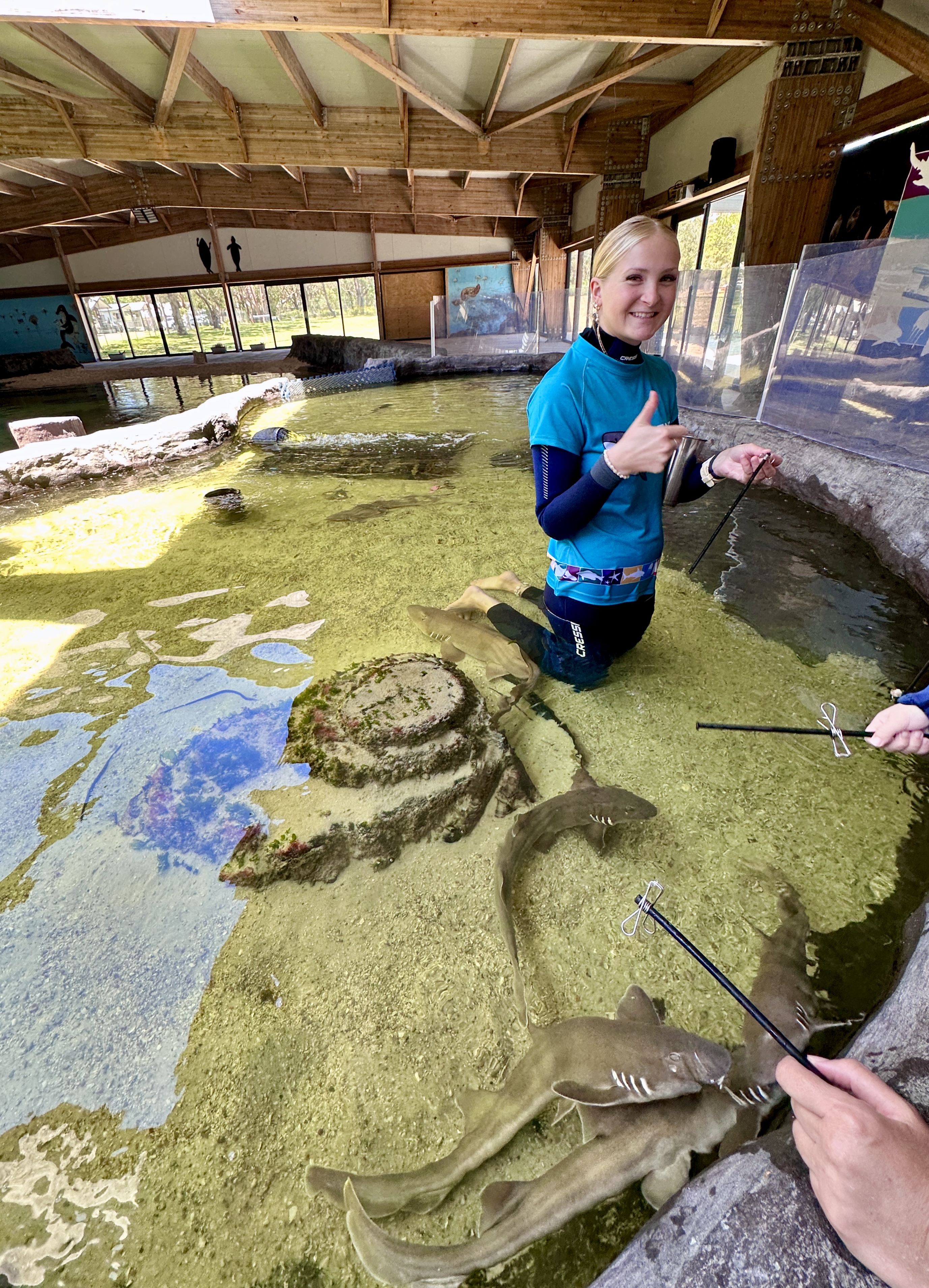 The Ultimate Aussie Animal Package - B2B Booking - Visit Oakvale Wildlife Park & Irukandji Shark & Ray Encounters with ONE PASS