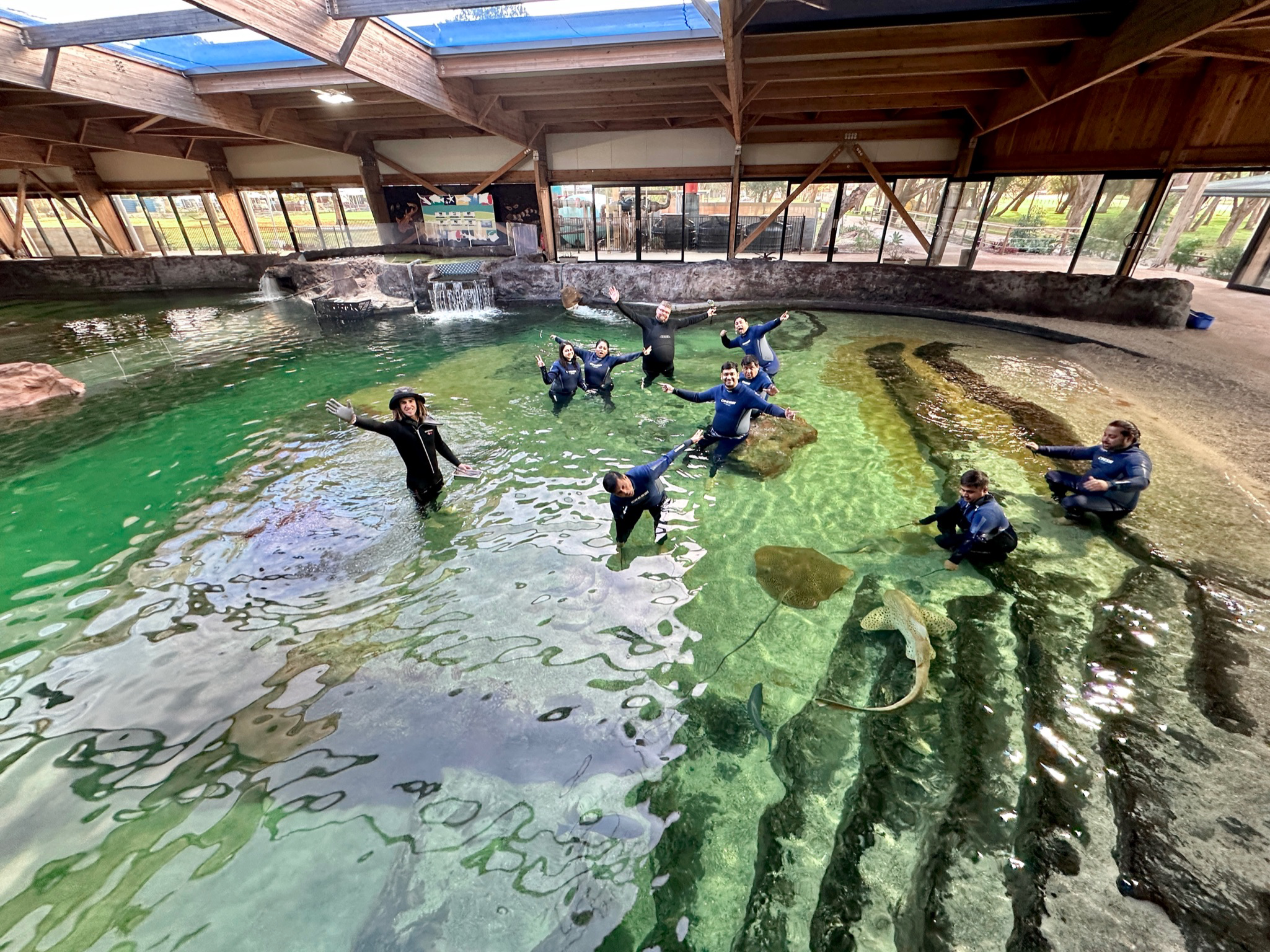 The Winter Elasmo Special $110 Packaged with Entry Pass (ages 12+)