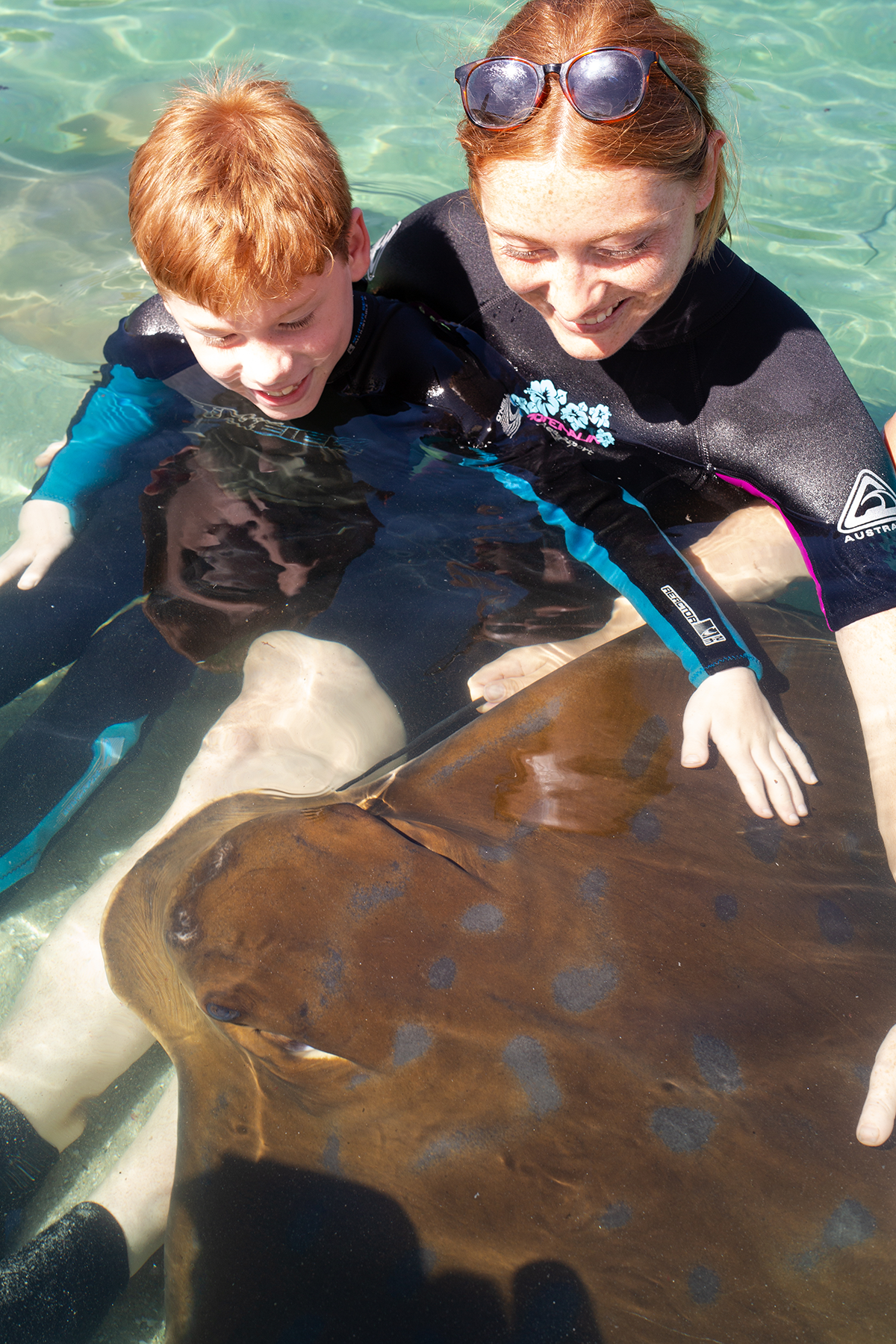 Little Ray Cuddle $50 packaged with Entry Pass (All Ages)  B2B Booking